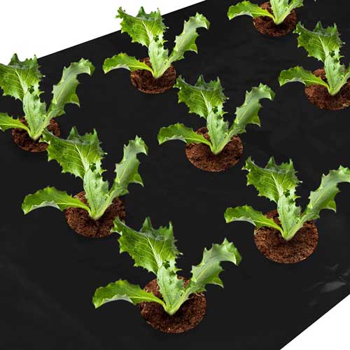 praktična vrtna folija protiv korova